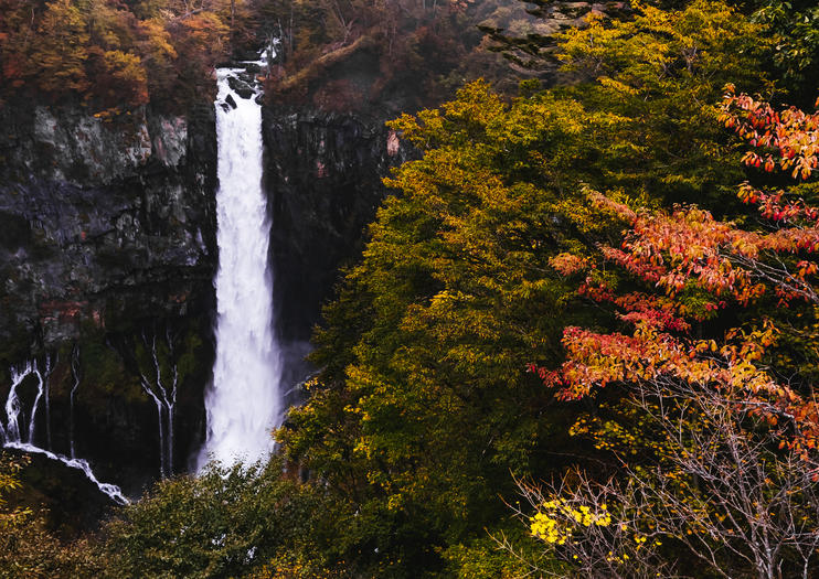 Things to Do in Tokyo This Fall